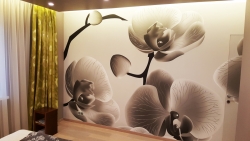 Фотообои с орхидеями 